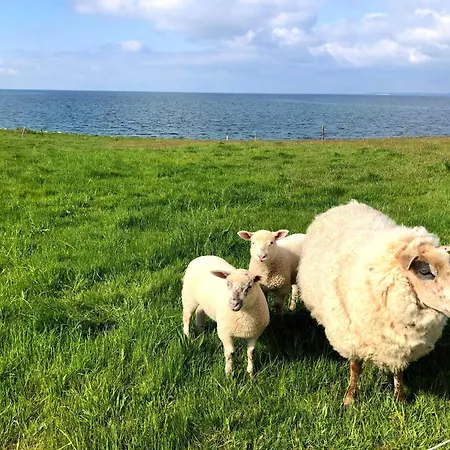 Funen With Fantastic Sea View Holiday home